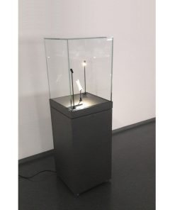 Samostojeća vitrina manjih dimenzija s postoljem i staklenom kupolom