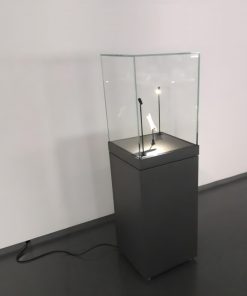 Samostojeća vitrina manjih dimenzija s postoljem i staklenom kupolom