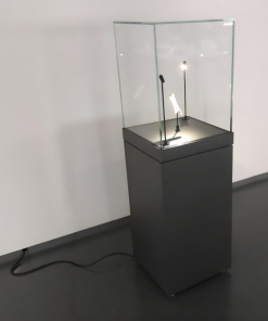 Samostojeća vitrina manjih dimenzija s postoljem i staklenom kupolom