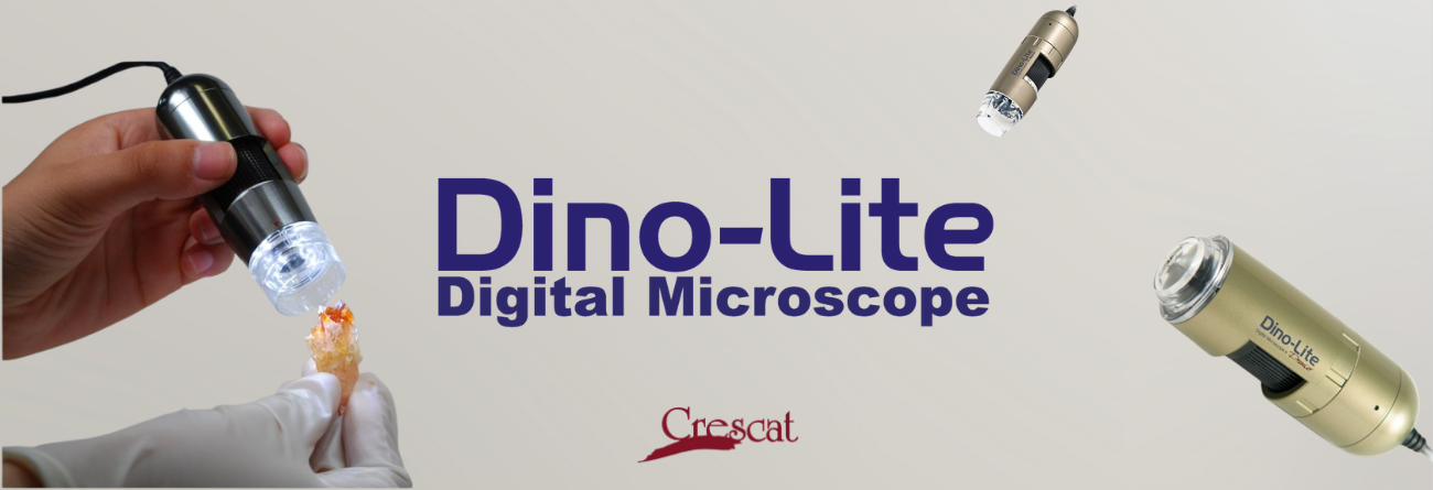 Dino-lite banner